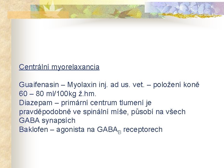 Centrální myorelaxancia Guaifenasin – Myolaxin inj. ad us. vet. – položení koně 60 –