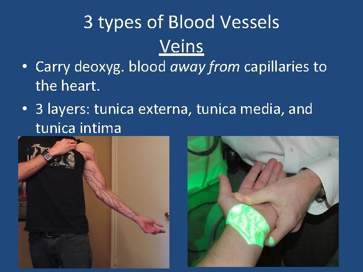 3 types of Blood Vessels Veins • Carry deoxyg. blood away from capillaries to