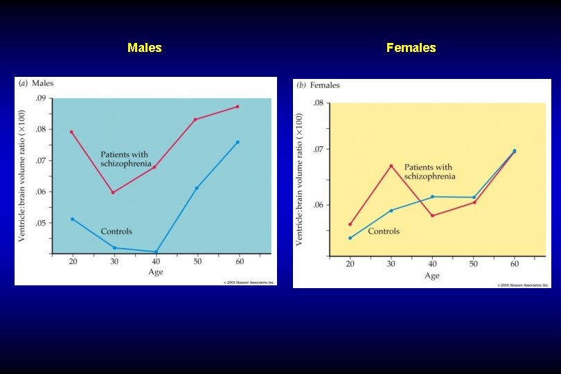 Males Females 