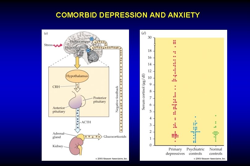 COMORBID DEPRESSION AND ANXIETY 