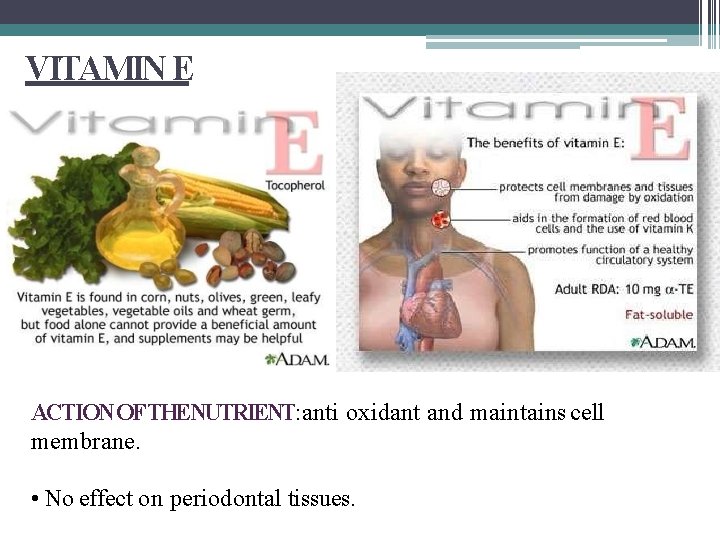 VITAMIN E ACTION OFTHENUTRIENT: anti oxidant and maintains cell membrane. • No effect on