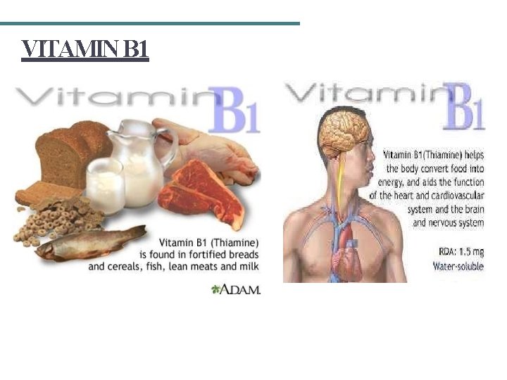 VITAMIN B 1 