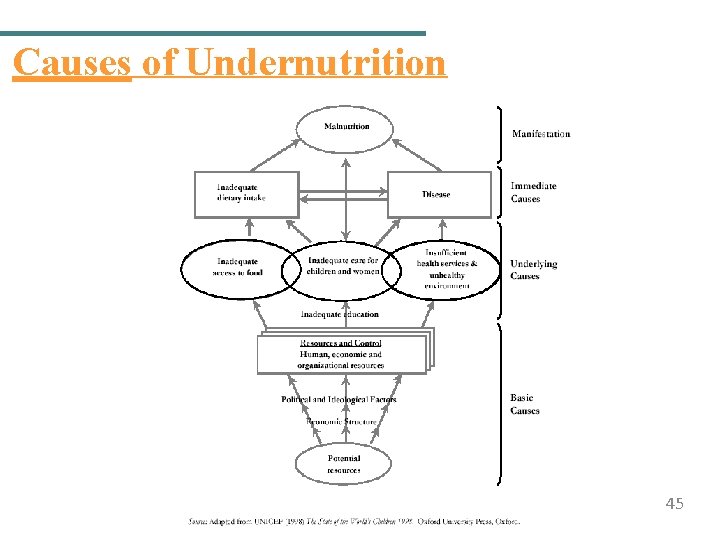 Causes of Undernutrition 45 
