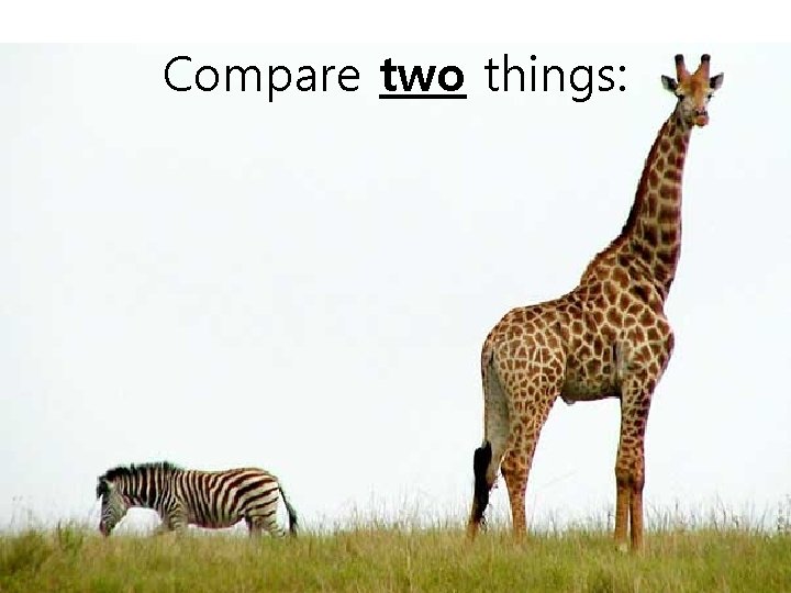 Compare two things: 