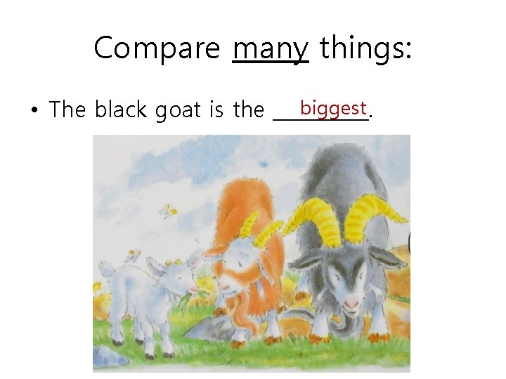 Compare many things: biggest • The black goat is the _____. 