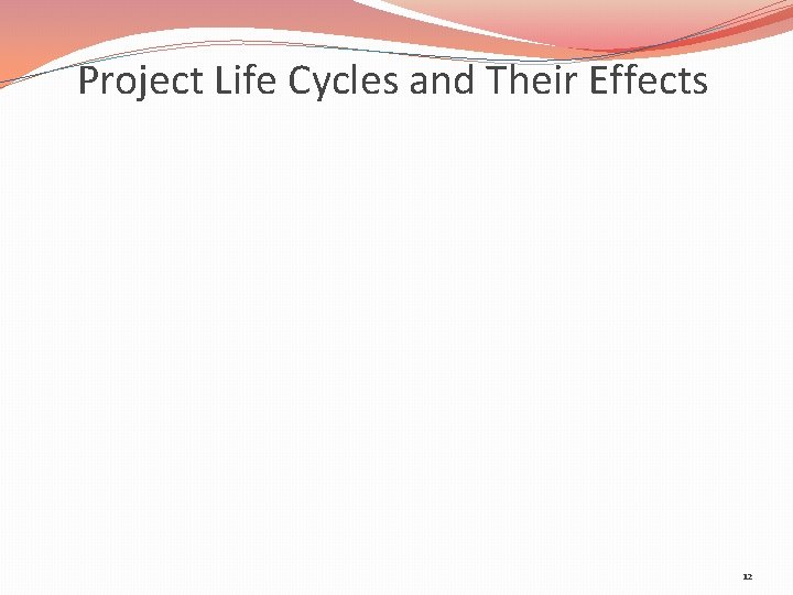 Project Life Cycles and Their Effects 12 