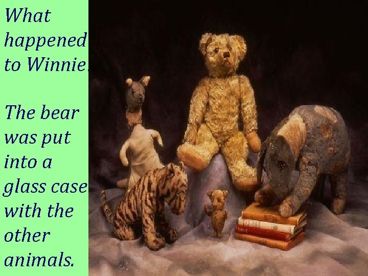 What happened to Winnie? The bear was put into a glass case with the