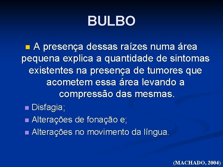 BULBO A presença dessas raízes numa área pequena explica a quantidade de sintomas existentes