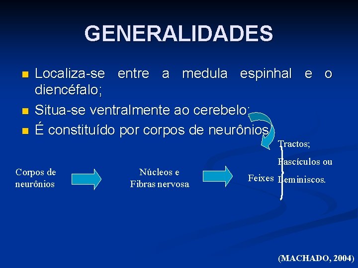 GENERALIDADES n n n Localiza-se entre a medula espinhal e o diencéfalo; Situa-se ventralmente