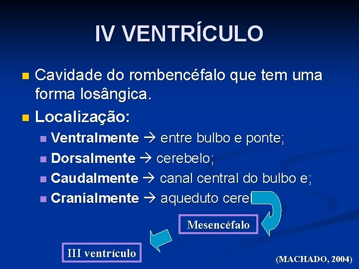 IV VENTRÍCULO Cavidade do rombencéfalo que tem uma forma losângica. n Localização: n Ventralmente