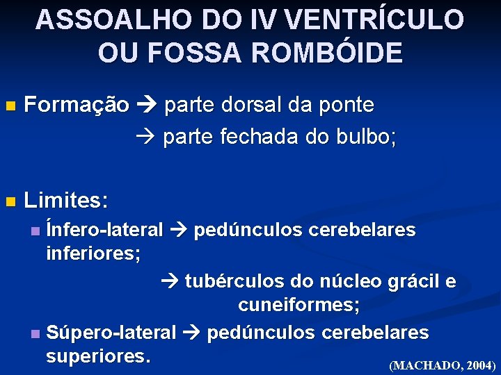 ASSOALHO DO IV VENTRÍCULO OU FOSSA ROMBÓIDE n Formação parte dorsal da ponte parte