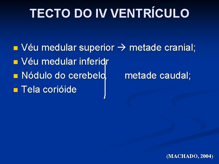 TECTO DO IV VENTRÍCULO Véu medular superior metade cranial; n Véu medular inferior n
