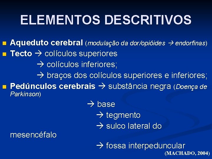 ELEMENTOS DESCRITIVOS n n n Aqueduto cerebral (modulação da dor/opióides endorfinas) Tecto colículos superiores