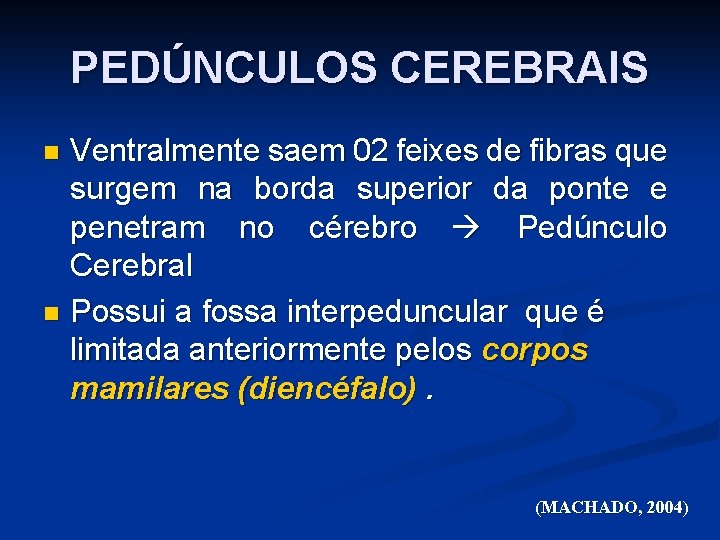 PEDÚNCULOS CEREBRAIS Ventralmente saem 02 feixes de fibras que surgem na borda superior da