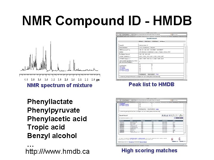 NMR Compound ID - HMDB NMR spectrum of mixture Phenyllactate Phenylpyruvate Phenylacetic acid Tropic