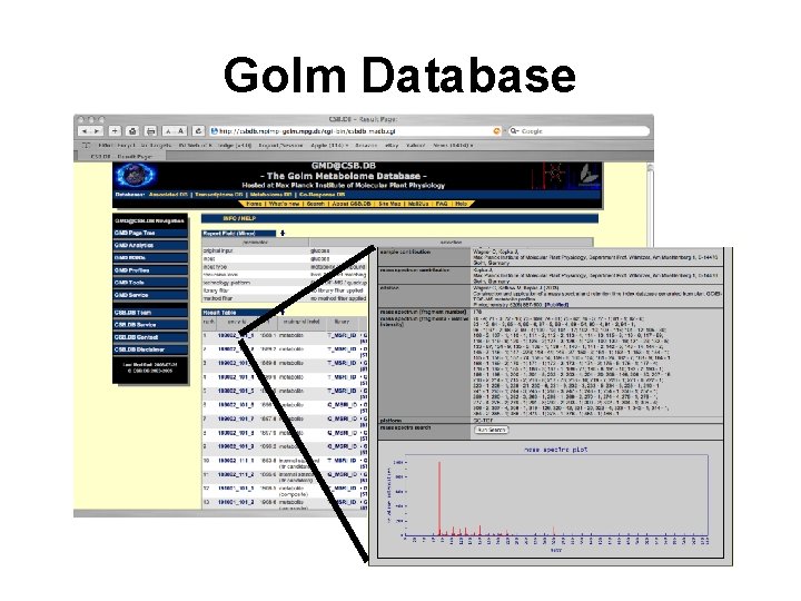 Golm Database 