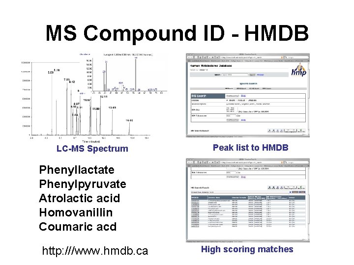 MS Compound ID - HMDB LC-MS Spectrum Peak list to HMDB Phenyllactate Phenylpyruvate Atrolactic