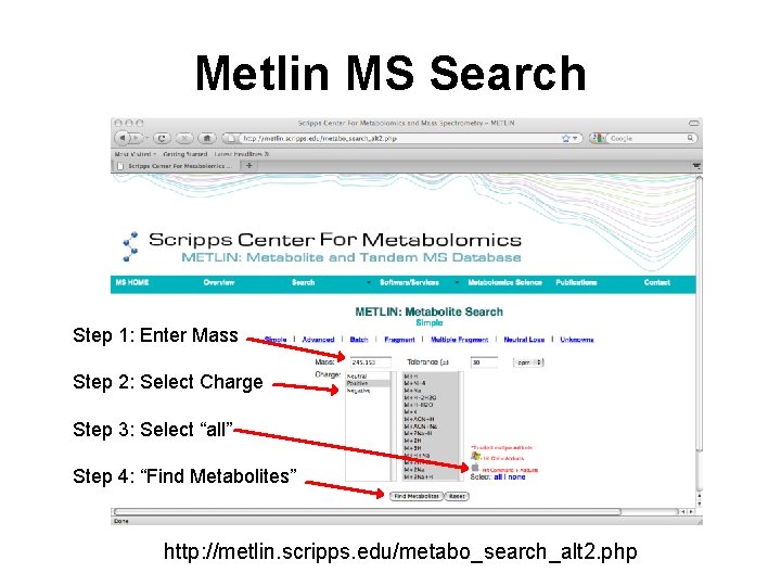 Metlin MS Search Step 1: Enter Mass Step 2: Select Charge Step 3: Select
