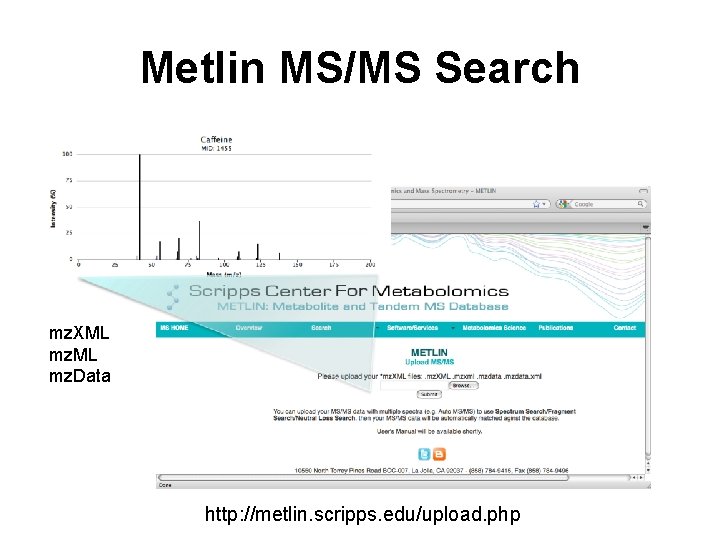 Metlin MS/MS Search mz. XML mz. Data http: //metlin. scripps. edu/upload. php 