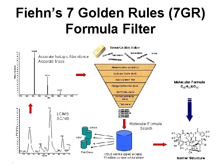 Fiehn’s 7 Golden Rules (7 GR) Formula Filter 
