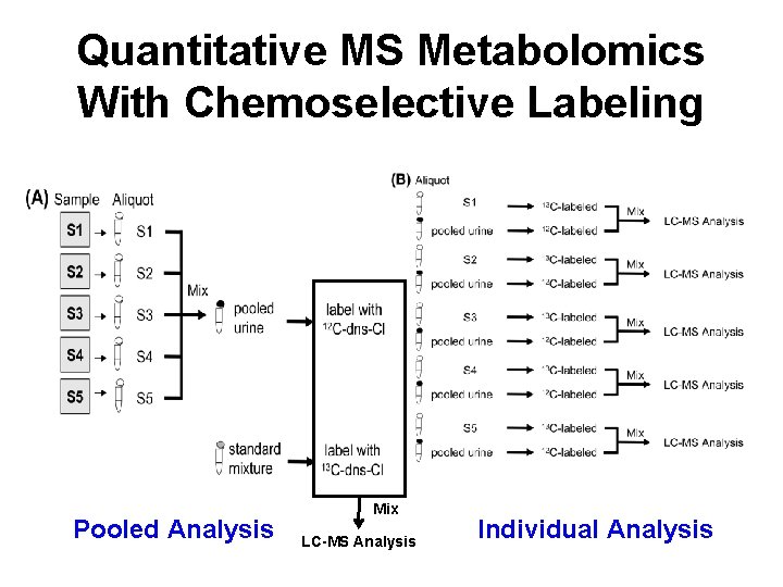 Quantitative MS Metabolomics With Chemoselective Labeling Pooled Analysis Mix LC-MS Analysis Individual Analysis 