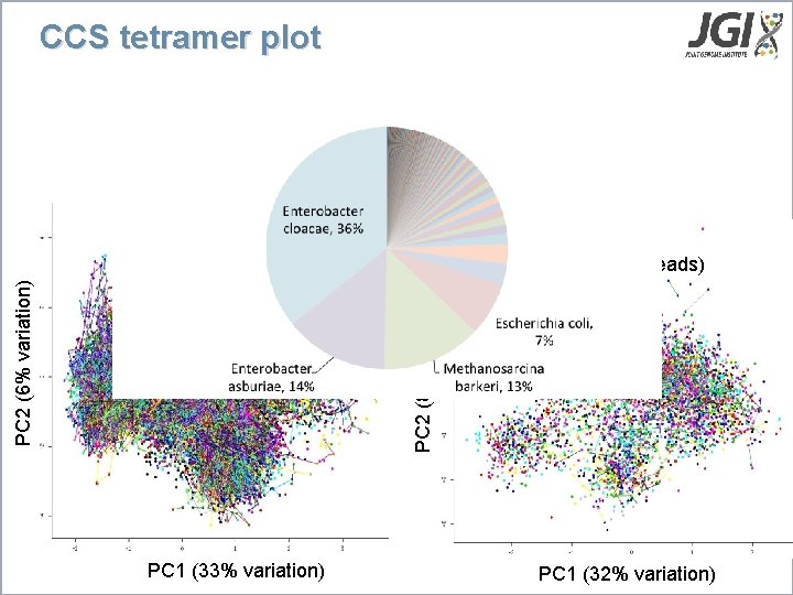 CCS tetramer plot PCA (Illumina contigs) PC 2 (8% variation) PC 2 (6% variation)