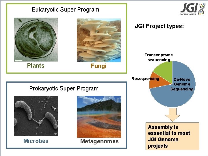 Eukaryotic Super Program projects JGI Sequencing JGI Project types: Transcriptome sequencing Plants Fungi Resequencing