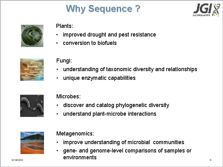 Why Sequence ? Plants: • improved drought and pest resistance • conversion to biofuels