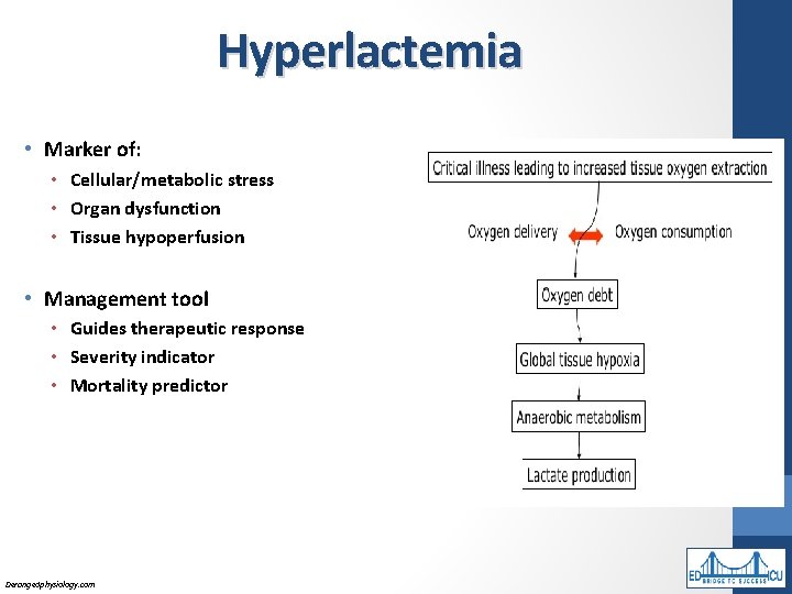 Hyperlactemia • Marker of: • Cellular/metabolic stress • Organ dysfunction • Tissue hypoperfusion •