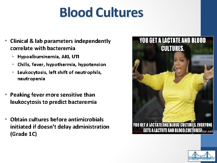 Blood Cultures • Clinical & lab parameters independently correlate with bacteremia • Hypoalbuminemia, AKI,