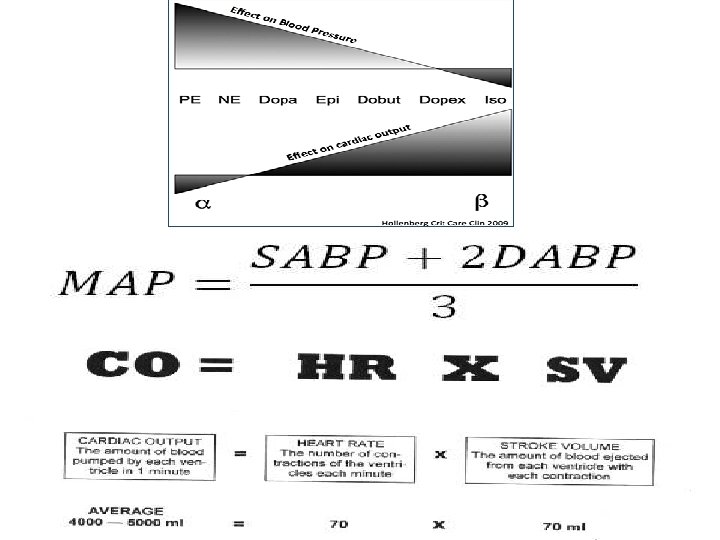 Vasopressors • Septic shock unresponsive to 30 ml/kg IVF (Grade 1 C) • Simultaneously