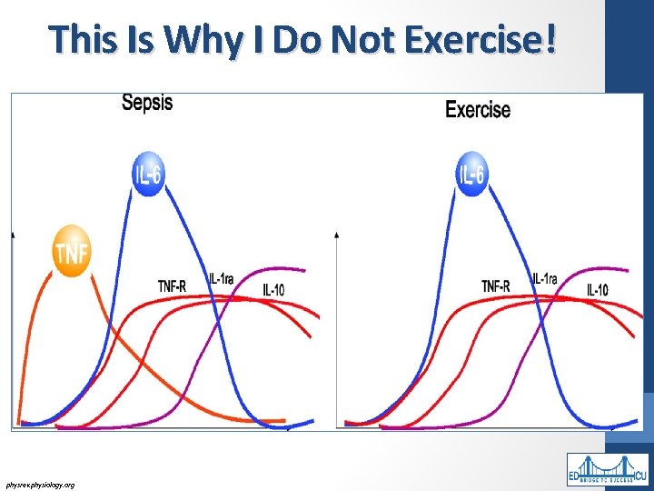 This Is Why I Do Not Exercise! physrev. physiology. org 
