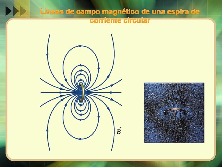 Líneas de campo magnético de una espira de corriente circular 