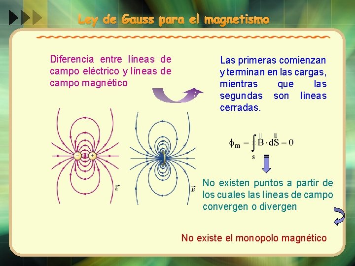 Ley de Gauss para el magnetismo Diferencia entre líneas de campo eléctrico y líneas