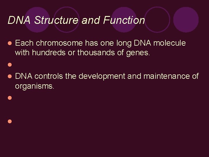 DNA Structure and Function l Each chromosome has one long DNA molecule with hundreds