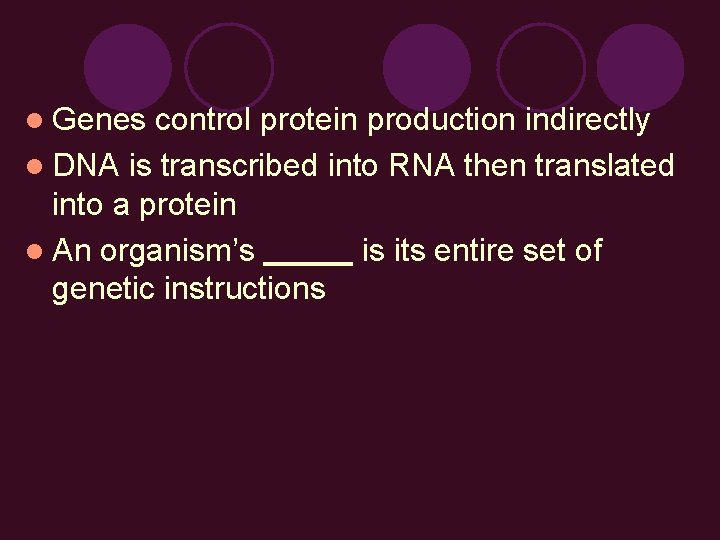 l Genes control protein production indirectly l DNA is transcribed into RNA then translated