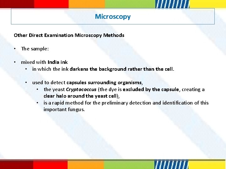 Microscopy Other Direct Examination Microscopy Methods • The sample: • mixed with India ink