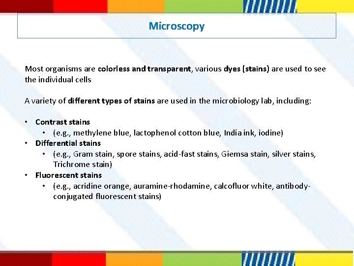 Microscopy Most organisms are colorless and transparent, various dyes (stains) are used to see