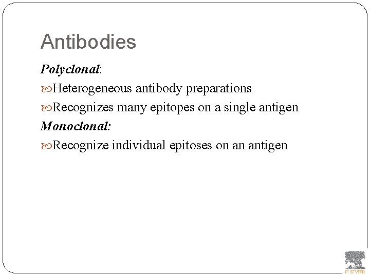 Antibodies Polyclonal: Heterogeneous antibody preparations Recognizes many epitopes on a single antigen Monoclonal: Recognize