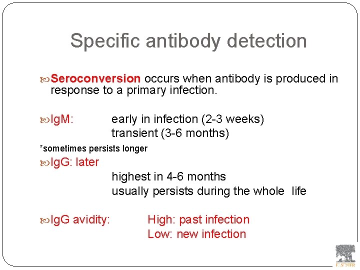 Specific antibody detection Seroconversion occurs when antibody is produced in response to a primary