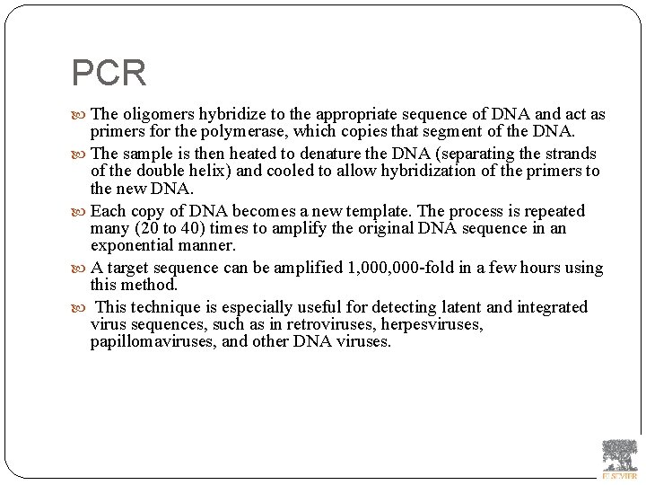 PCR The oligomers hybridize to the appropriate sequence of DNA and act as primers
