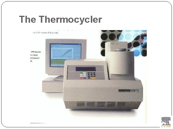 The Thermocycler 