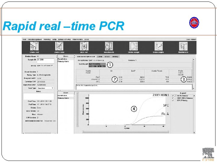Rapid real –time PCR 