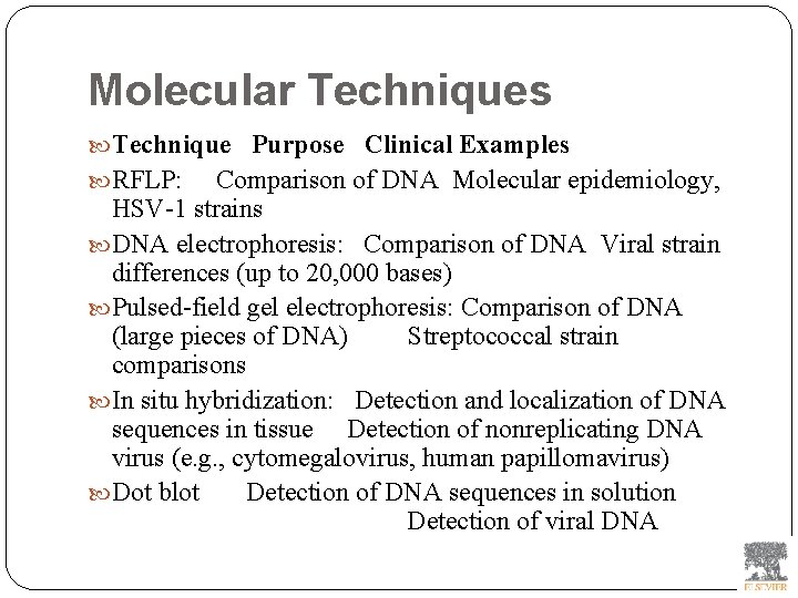Molecular Techniques Technique Purpose Clinical Examples RFLP: Comparison of DNA Molecular epidemiology, HSV-1 strains