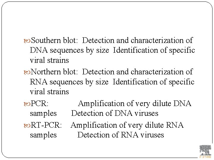  Southern blot: Detection and characterization of DNA sequences by size Identification of specific
