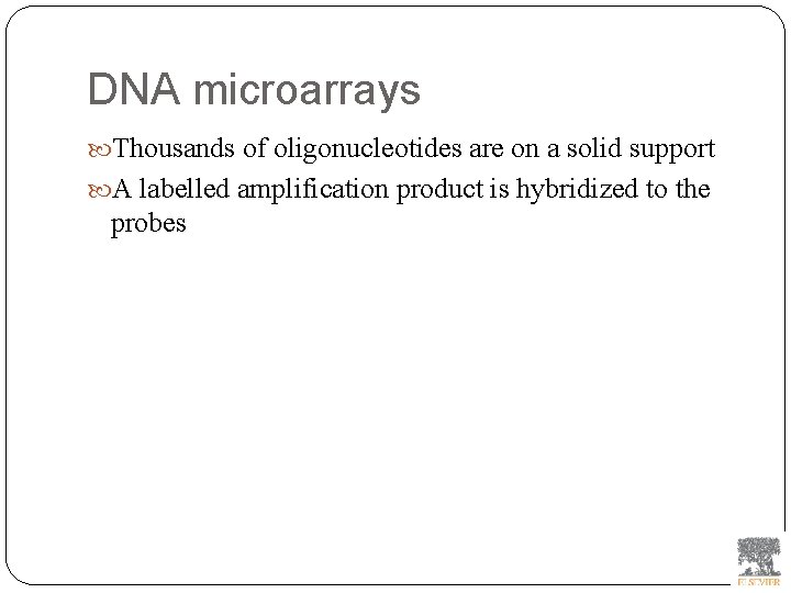 DNA microarrays Thousands of oligonucleotides are on a solid support A labelled amplification product