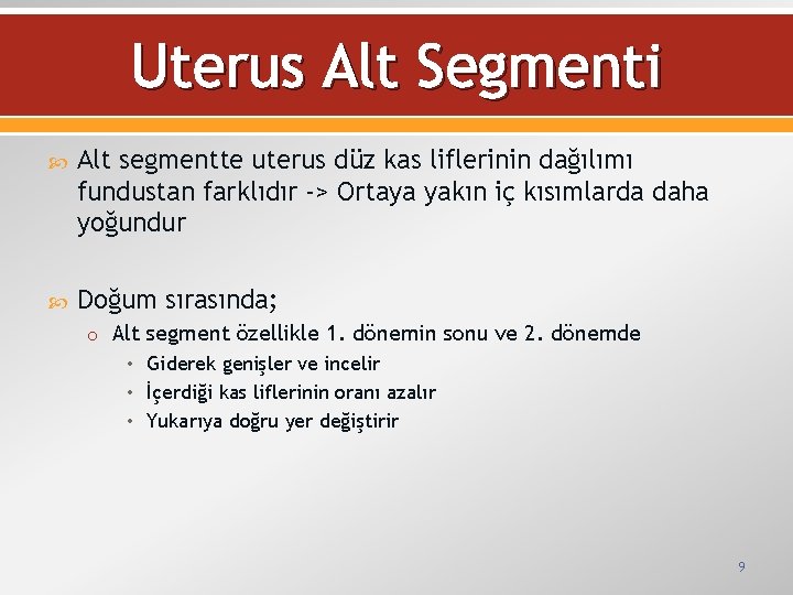 Uterus Alt Segmenti Alt segmentte uterus düz kas liflerinin dağılımı fundustan farklıdır -> Ortaya