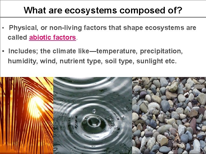 What are ecosystems composed of? • Physical, or non-living factors that shape ecosystems are