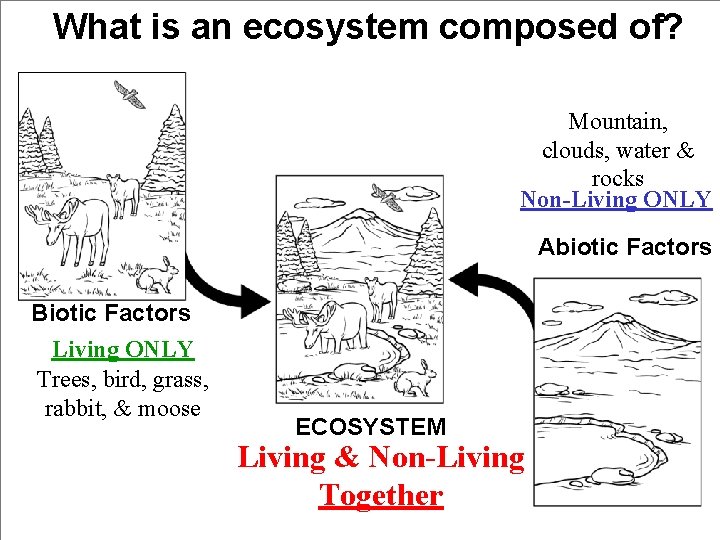 What is an ecosystem composed of? Mountain, clouds, water & rocks Non-Living ONLY Abiotic