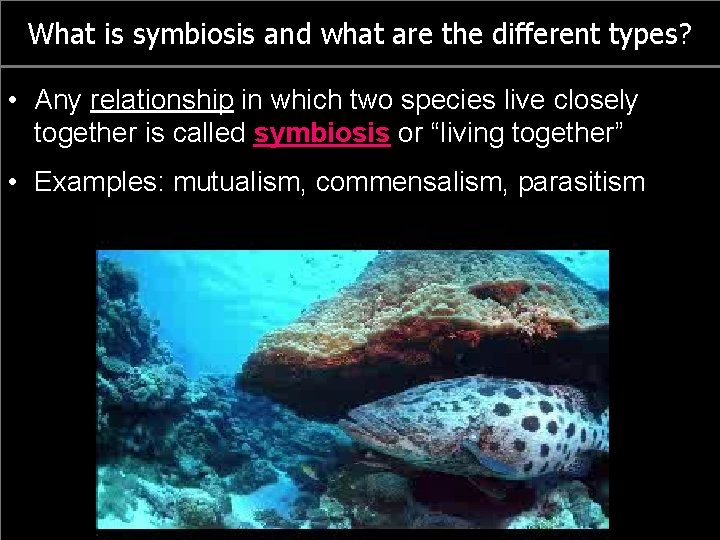 What is symbiosis and what are the different types? • Any relationship in which